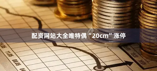 配资网站大全唯特偶“20cm”涨停