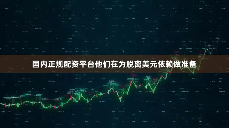 国内正规配资平台他们在为脱离美元依赖做准备