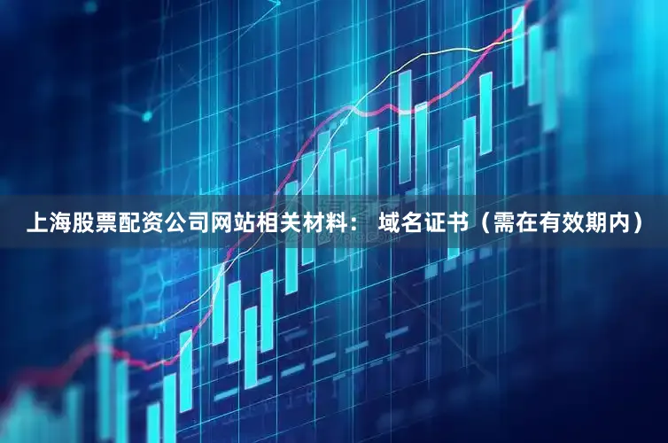 上海股票配资公司网站相关材料： 域名证书（需在有效期内）
