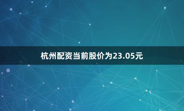 杭州配资当前股价为23.05元